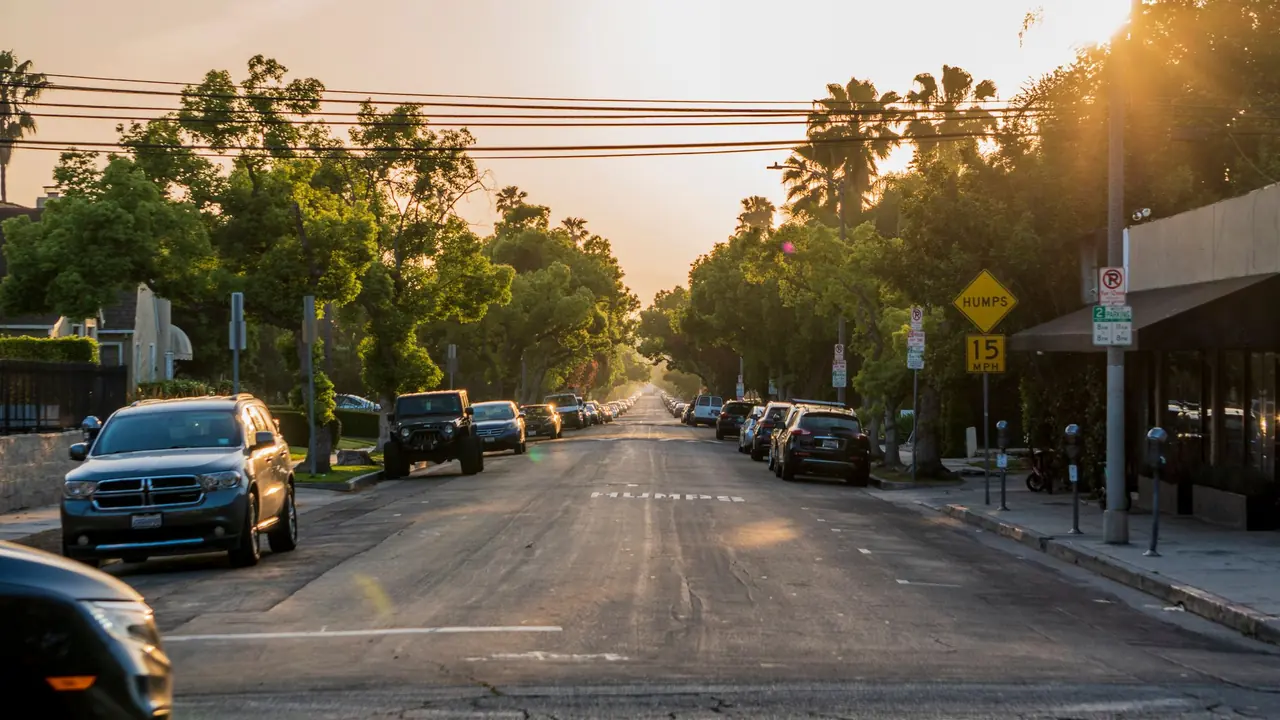 A tree-lined Los Angeles street at sunset